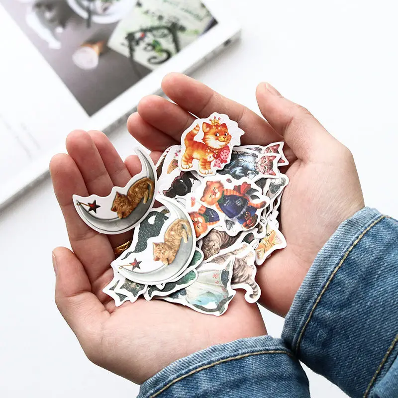 7811061729_1496227996