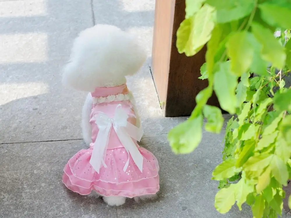 

Cute Princess Little Bow Pet dogs Dress Coat Free Shiping By CPAM Dogs Clothing