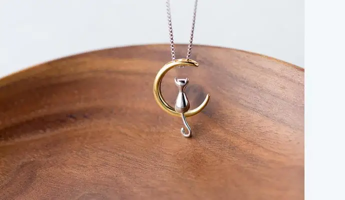 36020170116230116325