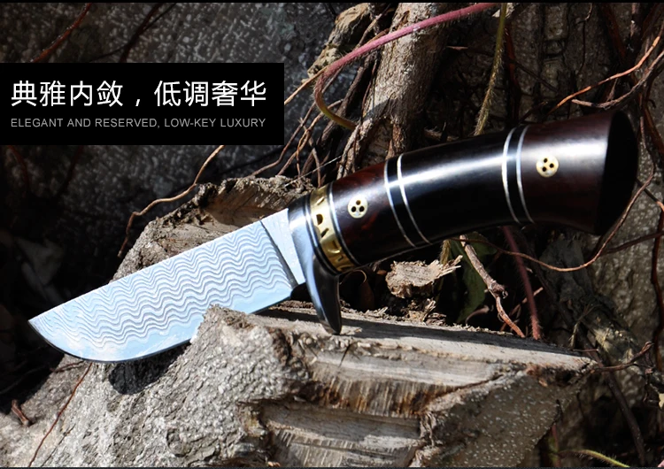 TB2dUYXXSFjpuFjSspbXXXagVXa_!!504445211