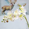 2 fork 3d print Butterfly Orchid green plastic Idyllic country fake flower table interior decoration Artificial flower ► Photo 3/6