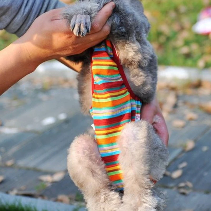Горячая Собака Хлопок затяжной ремень гигиенические подгузники для животных Нижнее белье
