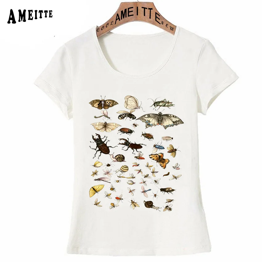 

Collection of Insects T-Shirt Entomology Bugs Illustration Summer Women T-Shirt Novelty Style Girl Casual Tops Funny Woman Tees