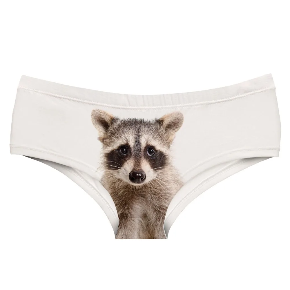 55021 RACOON (3)