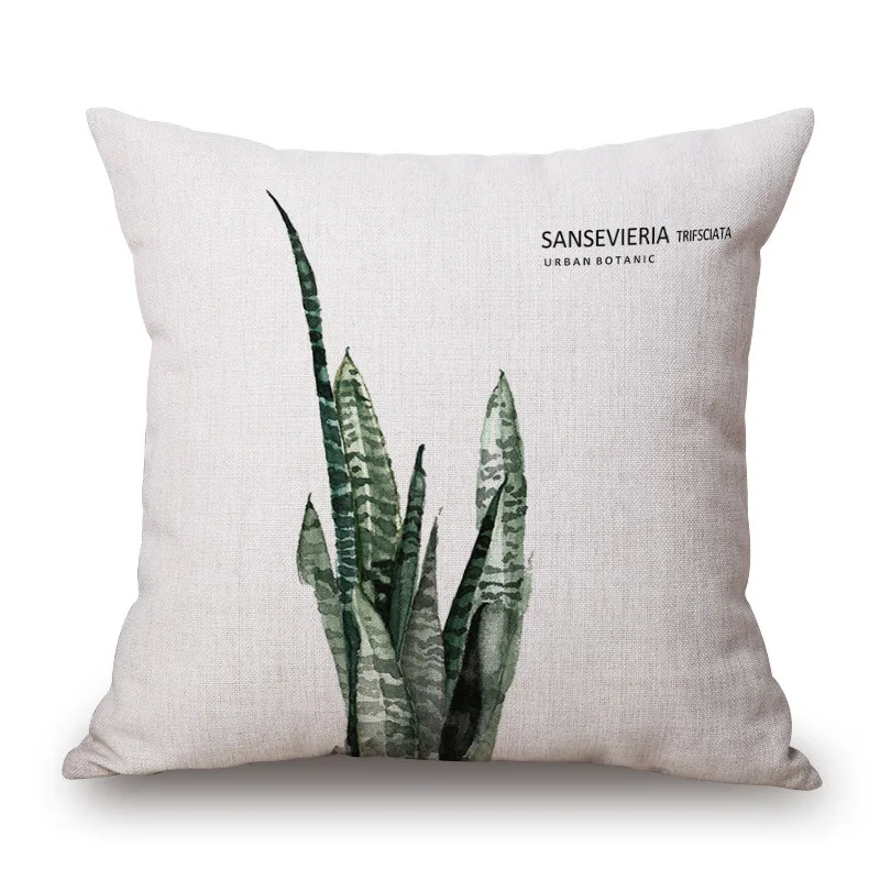 3101467784_2008424851