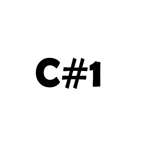 C 1 Service DIY