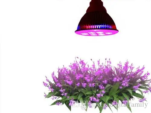 led-grow-light-bulb-e27-12w-85-265v-miracle(4)