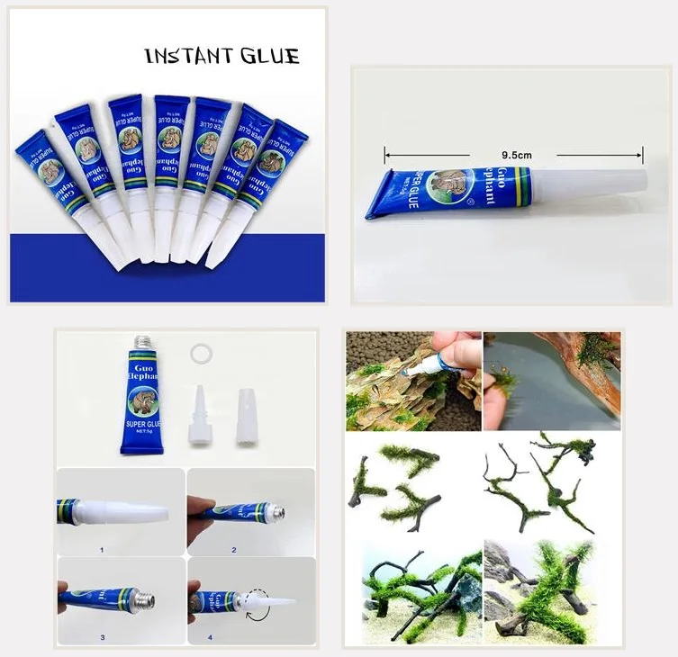 

Coral frags sps base and water plants moss fixed to rock aquarium instant glue
