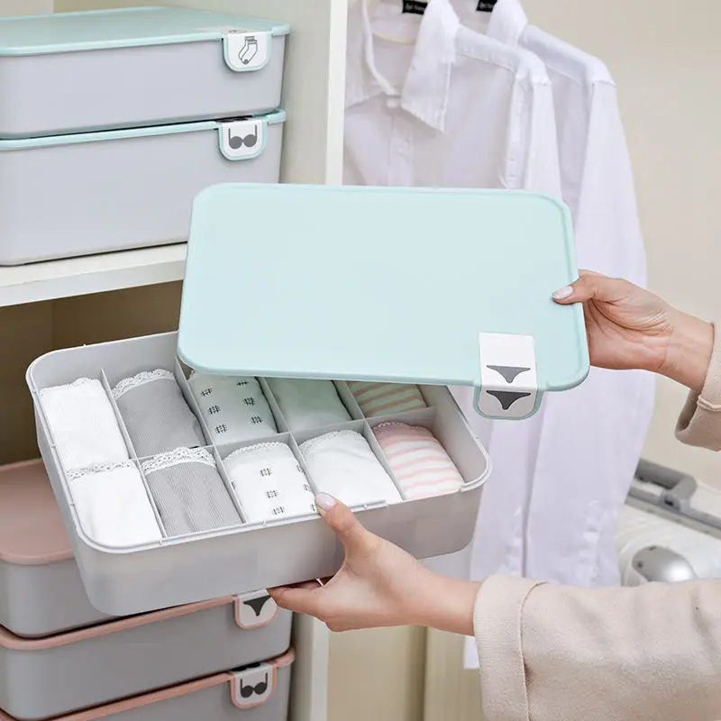 

Boxi Home Underwear Storage Box Organizer Plastic Dust-Proof Storage Boxes For Ties Sock Bra Jewelry Sundries Organizers Boxes