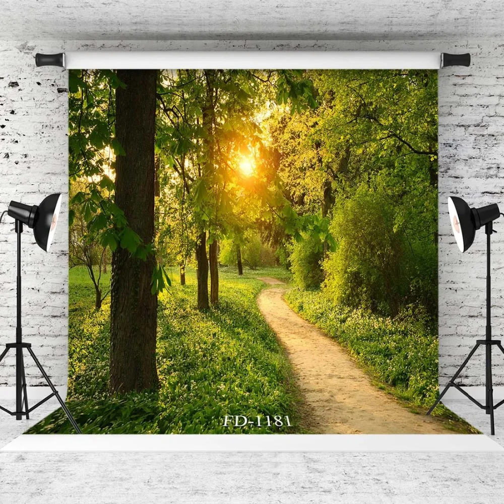 Фон для фотосъемки в парке Walkway Sunset реквизит фотосессии детей Детская душевая