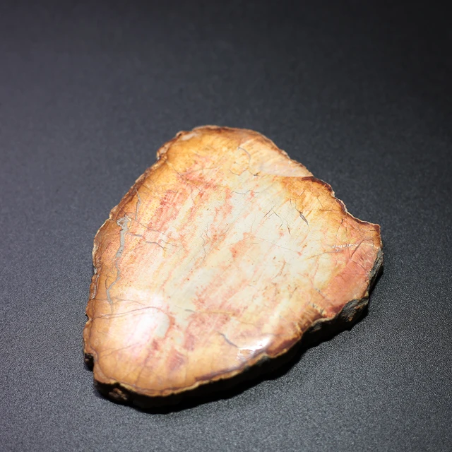 Best Price exquisite Wood fossil Crystal Specimens NATURAL Stones and Minerals Rock 