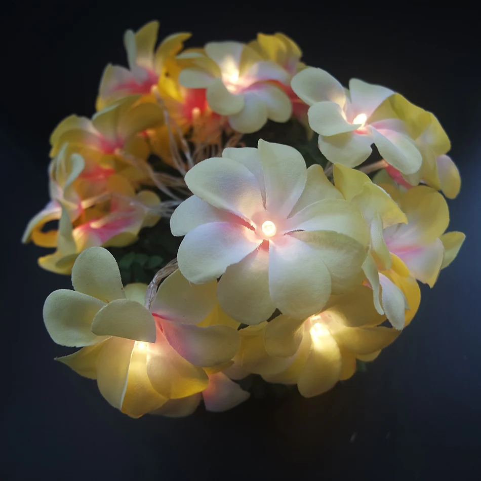 Creative Plumeria DIY LED String Lights, AA Battery floral holiday lighting, Event Party flower decoration,Bedroom garland deco Creative Plumeria DIY LED String Lights, AA Battery floral holiday lighting, Event Party flower decoration,Bedroom garland deco