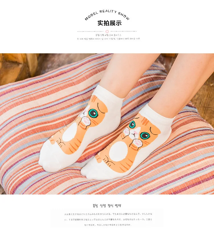 Cute Animal Japan Skarpetki Funny Socks Kawaii Cat Dog Sokken Art White Socks Women Novelty Harajuku Chaussette Femme