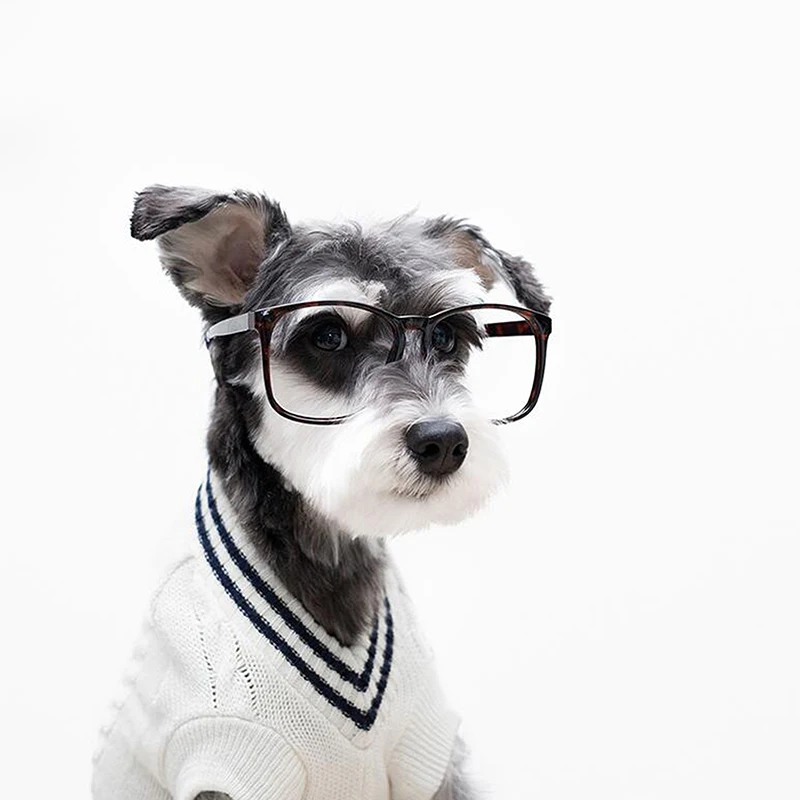 

5D Diy Diamond Painting Cross Stitch Dog Animals Full Square Diamond Embroidery Rinestones Painting Diamond Mosaic Home Decor