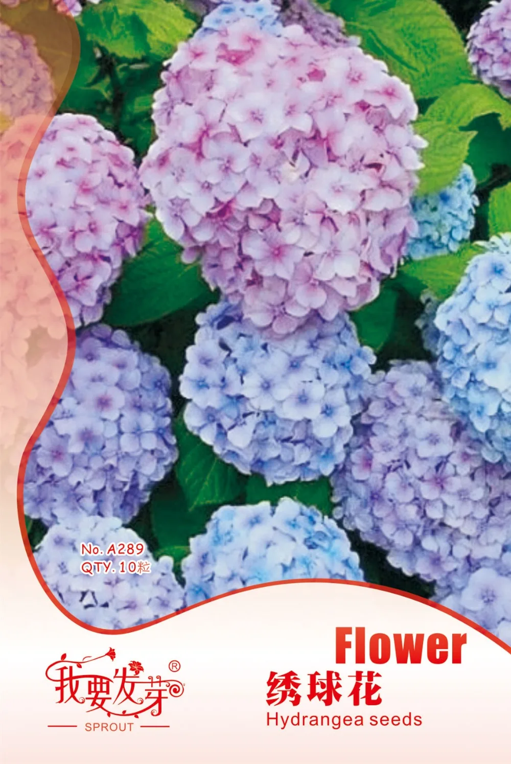 Original Pack 20 Seeds / Pack, Hydrangea flower seeds,silk hydrangea
