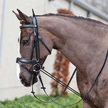 3M équitation bride licou élastique cheval cou civière cheval Rein équipement de course fournitures équestres outil de formation