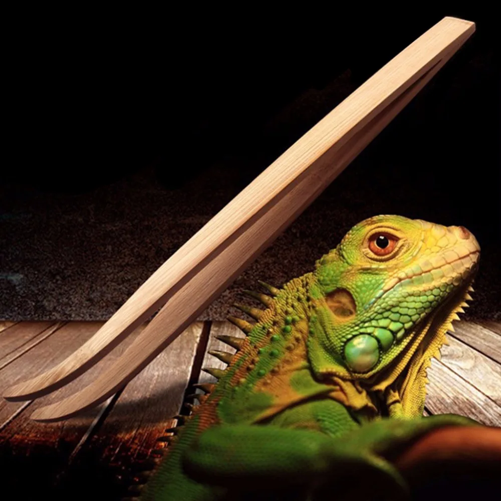 Angled Reptile Feeding Tongs Tweezers 28cm Bamboo Eco Friendly Feeding