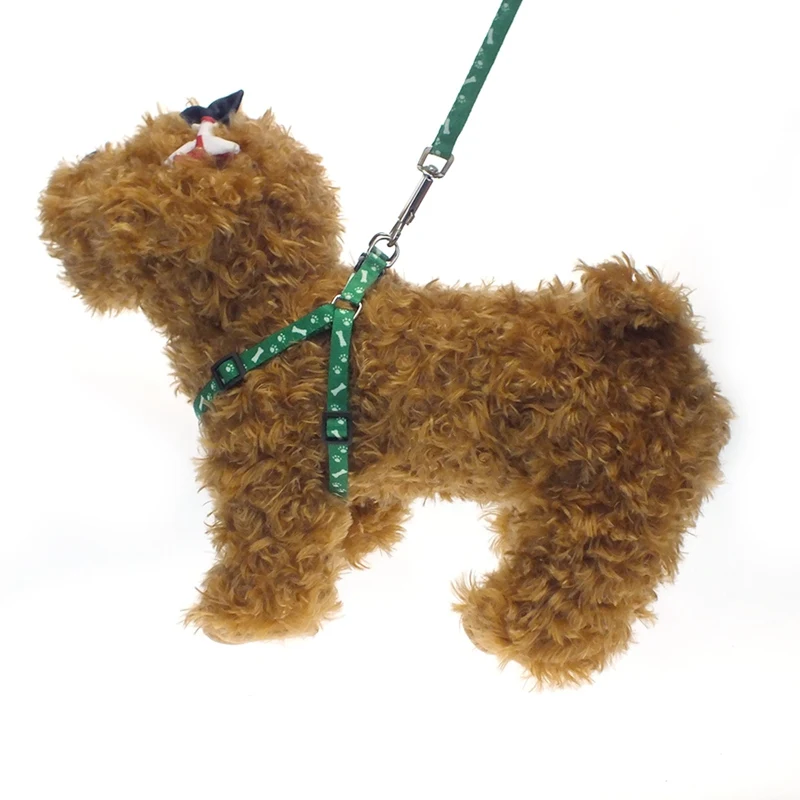 dog harness leash (1)