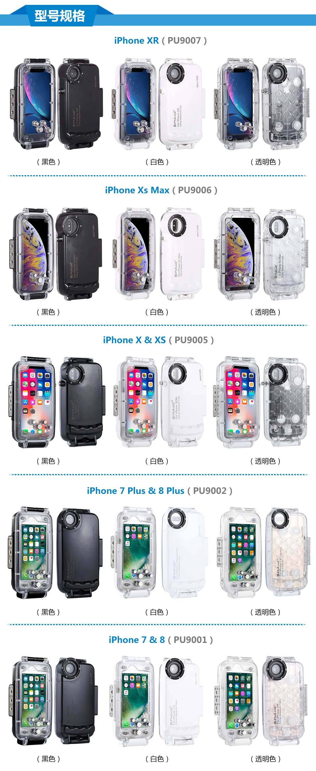  apple _02.jpg