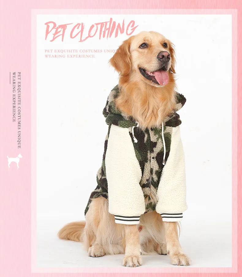 köpek sweatshirt