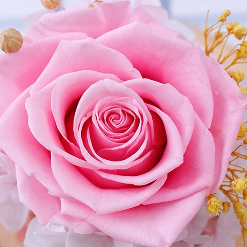Бесконечные сохраненные розы цветок в стекле романтический подарок День Святого Валентина День рождения Роза де Cristal Creativa# P