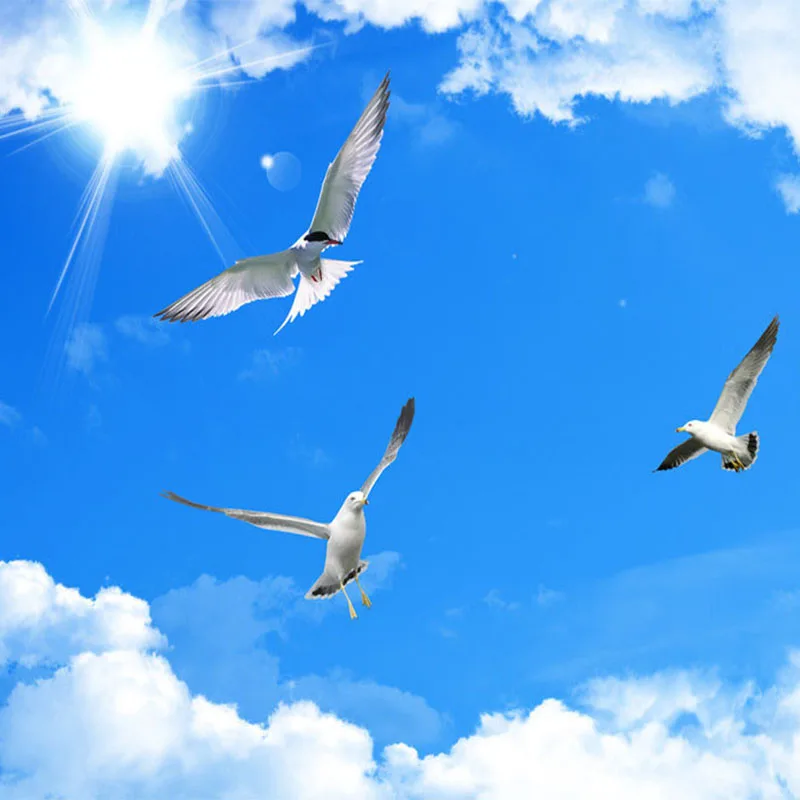 Download 42 Gambar Burung Terbang Di Awan Paling Bagus Gratis