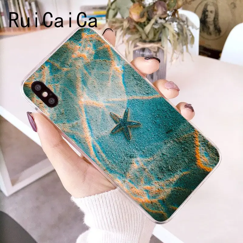 Clear sea sky beach starfish