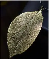6f