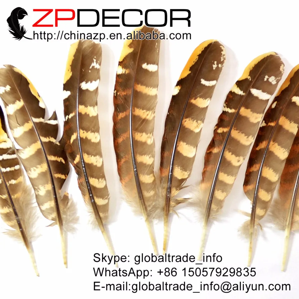 Pheasant Reeve Quills - Venery Pheasant Wing Feathers2