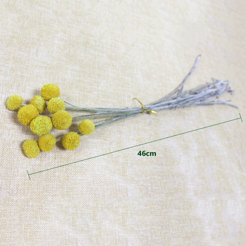 JAROWN Natural Dried Flowers Gold Ball Eternal Flores For Wedding DIY Bouquet Decorations Home Flower Arrangement Art (17)