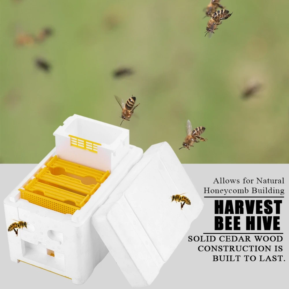 Bee Honey Beehive Foam Frames Beekeeping Kit Bee Hive King Pollination Boxes