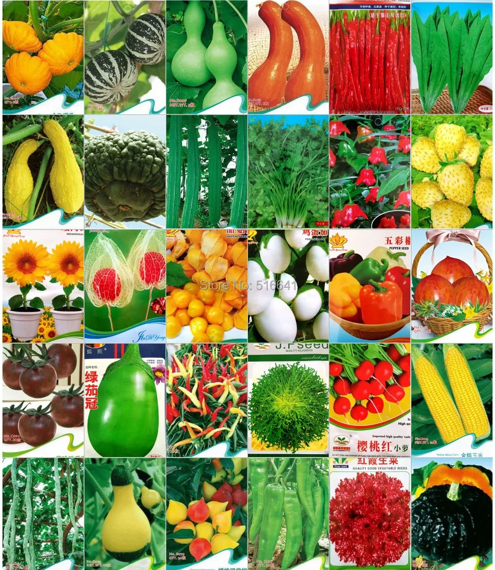 Buy 30 kinds green vegetable seeds in one Wholesale