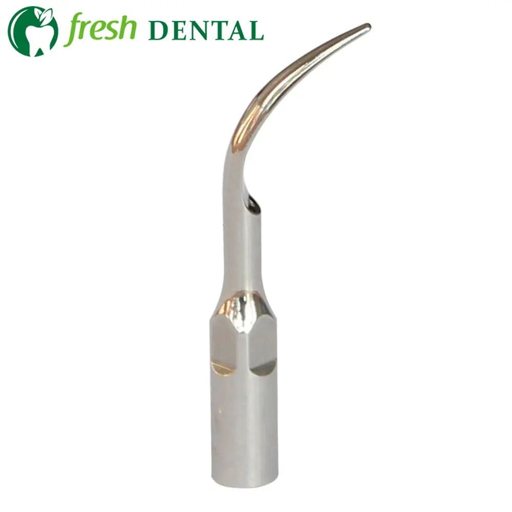 10PCS Dental Ultrasonic Scaler Tips G1 New Dental Supragingival Scaling