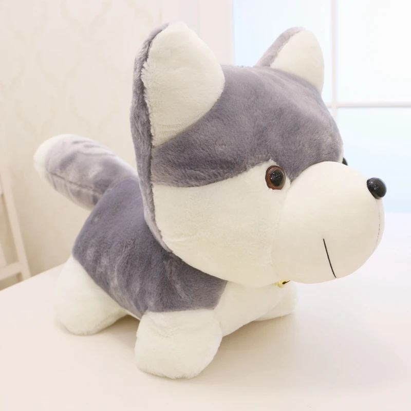 cute husky doll plush toy dog toys children's day birthday gift deco DY50689 (5)