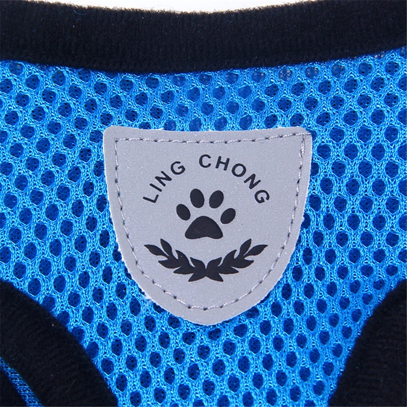 16 dogs accessoires 
