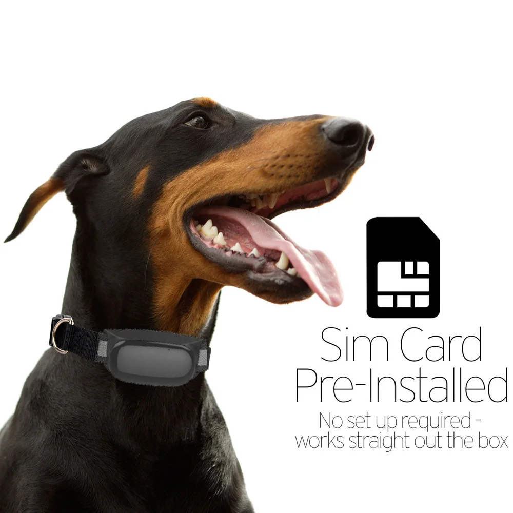 

Waterproof GPS Tracker With Collar GSM/GPRS Positioning Real Time Waterproof GPS Tracker Dog Pet Via Website & iOS APP