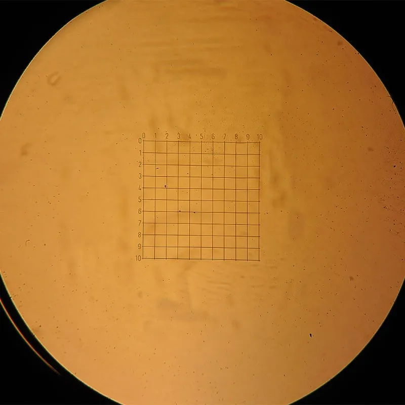 10x10 GRID Microscope Eyepiece Micrometer DIV 0.5 mm Net Type Ocular Calibration Slide for Dust Dispersion Calculate Area CAT905
