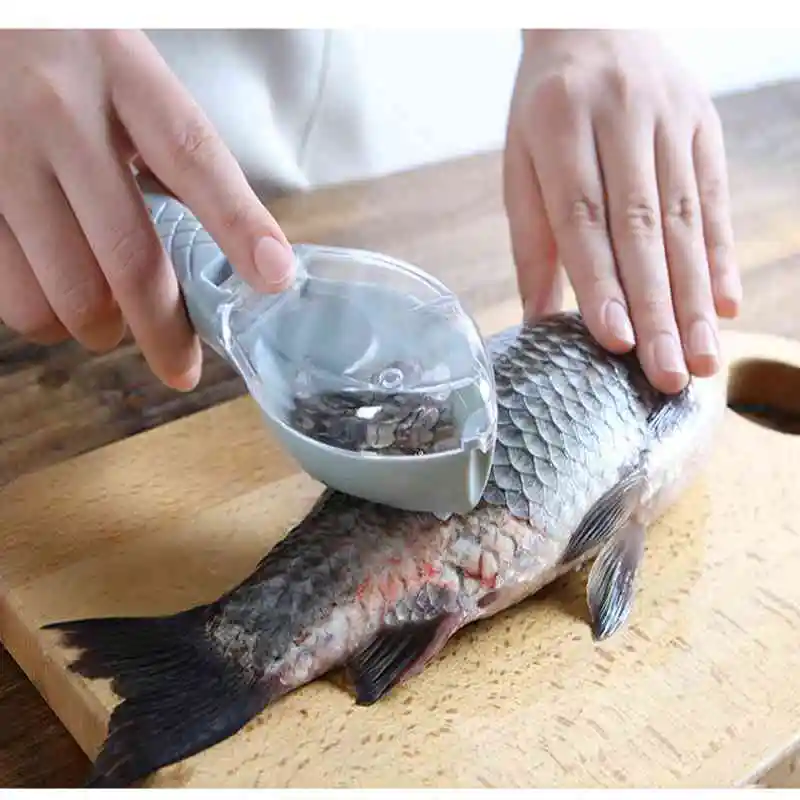 

Kitchen Gadgets Accessories Multifunctional Fish Scaler Scraper Clam Opener For Home Kitchen Cooking