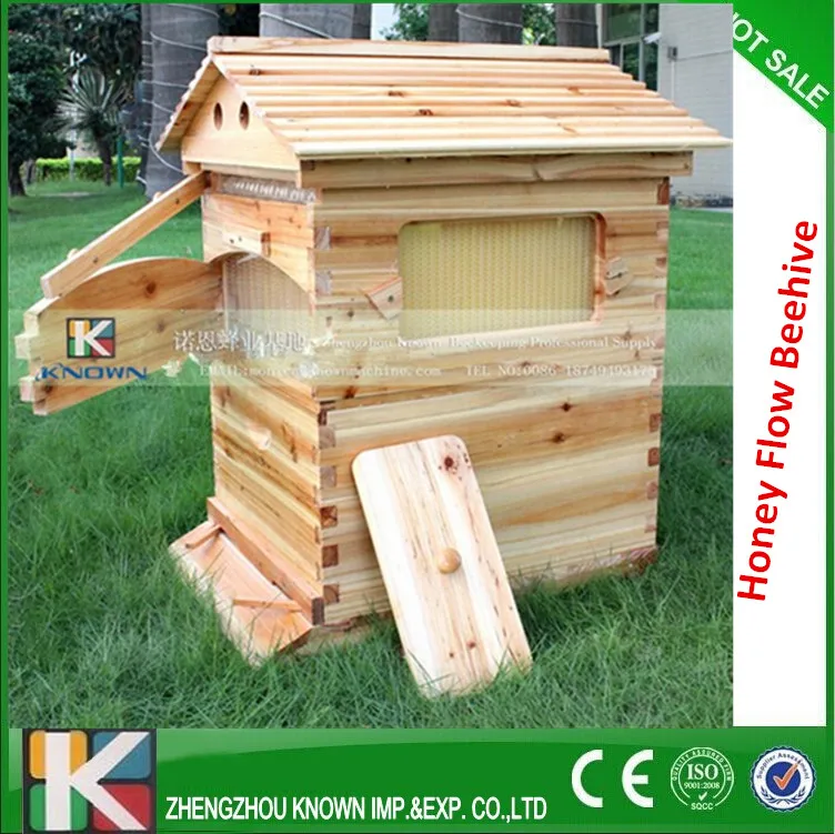 Plastic Honey Outflow Frame 7 Pieces beehive with delivery to chile 