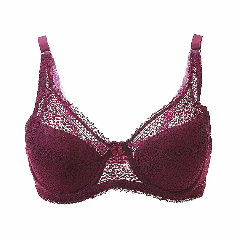 Women Sexy Underwire Padded Up Embroidery Lace Bra 80d 85d 90d 95d 