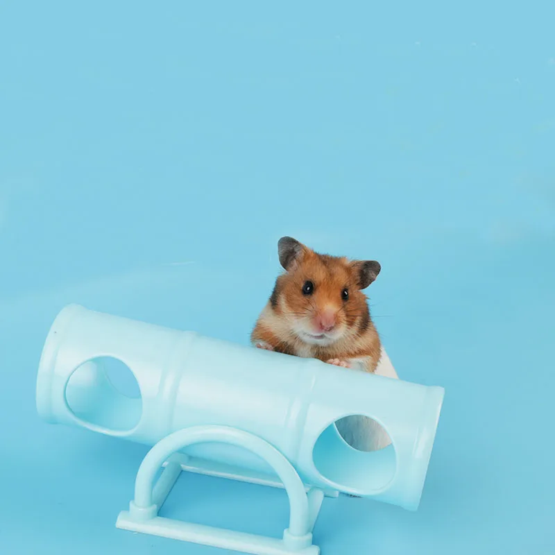 1 шт. розовый синий с несколькими отверстиями|toys for|toy for ratstoys pets |