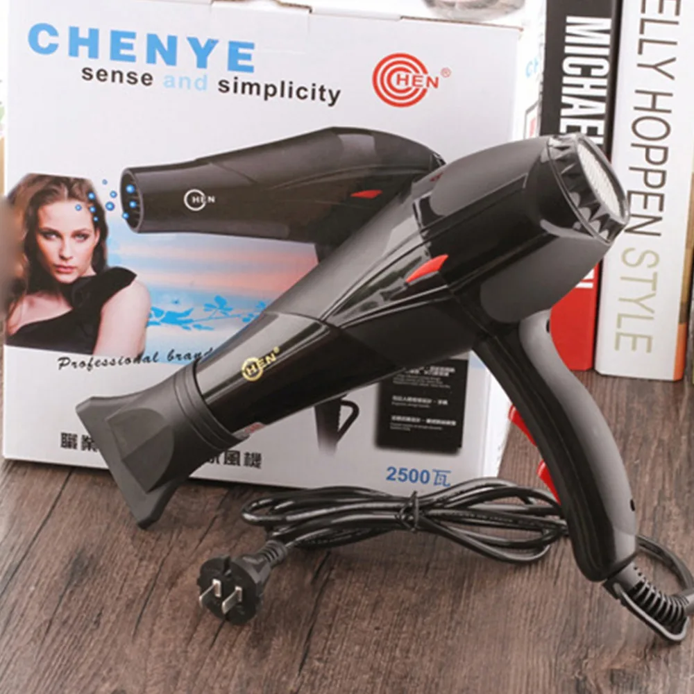 Blower Domestic Cold and Hot Wind Hair Salon Barber Hair Dryer 2500W