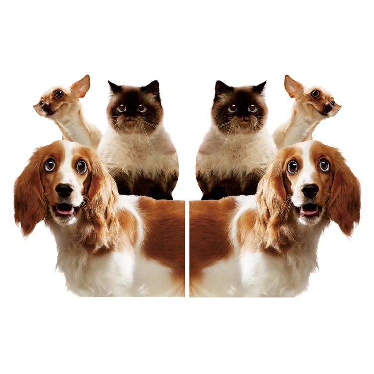 Забавная для кошек собак 3D наклейки на стену Декор для дома, с изображением кота для двери ПВХ Наклейки на стены/клей детская комната Домашний Декор Съемный