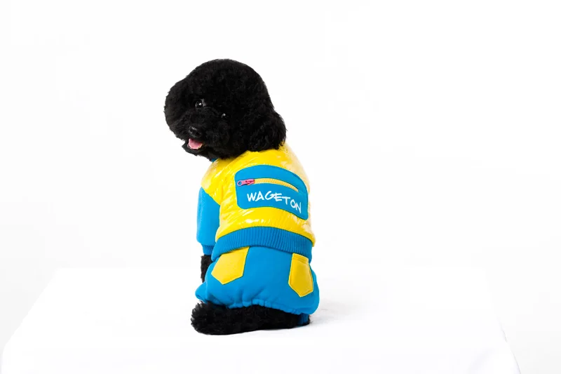 7 Pet clothing 