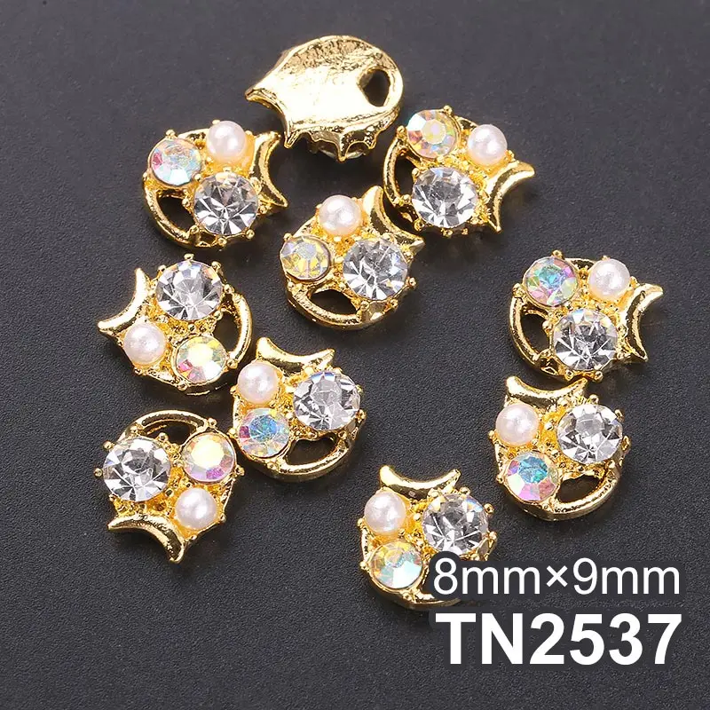 TN2537