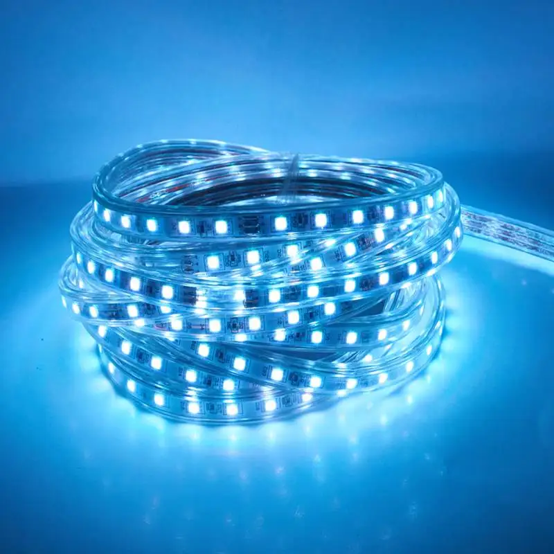 

5050 Flexible LED Strip light AC220V 60leds/m Waterproof IP67 Led Tape LED Light With EU Power Plug 1to25m