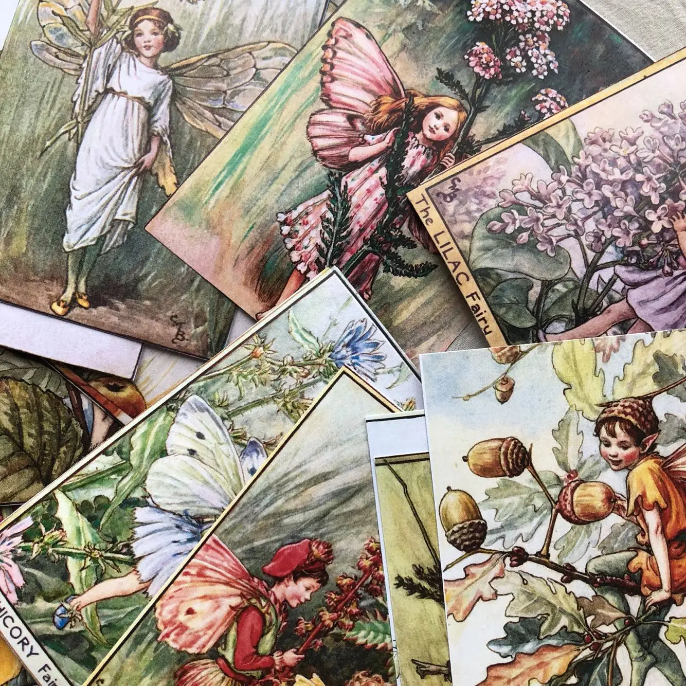 

27pcs flower fairy Alice elf flower forest angel material paper scrapbooking DIY projects/photo album/card making crafts