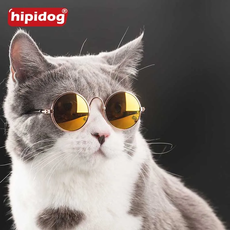 Hipidog животное здорово Очки модные с коробкой Pet Товары для собак Cat Солнцезащитные
