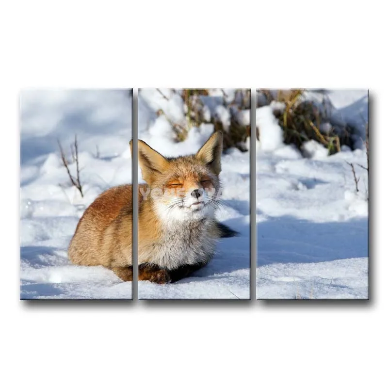 3 Piece Painting On Canvas Wall Art Fox Sunbath Pictures Print Animal The Picture Decor Oil For Home Decoration | Дом и сад