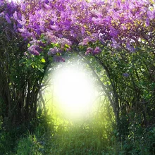 Laeacco Magic Spring Forest Flowers Branch Grassland Photography Backgrounds For Photo Studio Vinyl Custom Photo Backdrops Props Laeacco Magic Spring Forest Flowers Branch Grassland Photography Backgrounds For Photo Studio Vinyl Custom Photo Backdrops Props